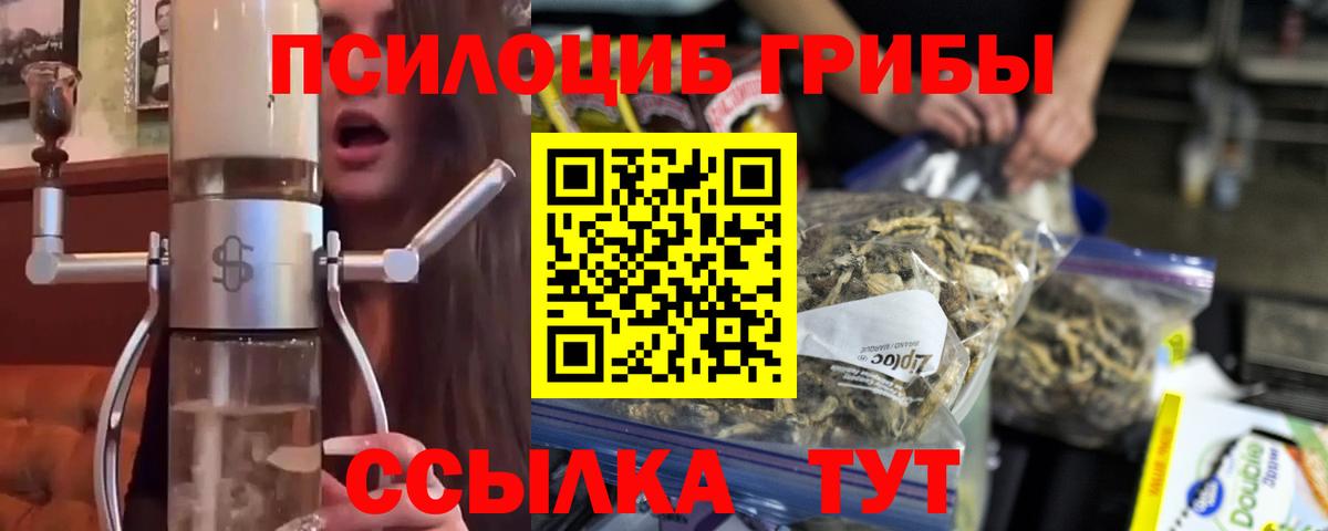 Кировск  Псилоцибиновые грибы мухоморы  Вход с VPN 